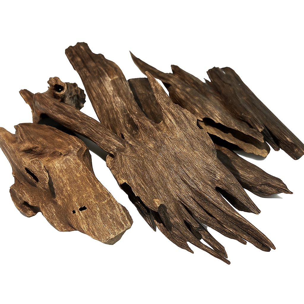 زورا أنفل دبل وتربل سوبر